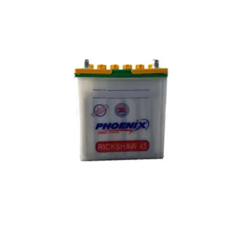 Phoenix RCK-45 Battery 24AH - 6Plates